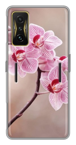 Чехол с картинкой "Веточка орхидеи" для Xiaomi POCO F4 GT
