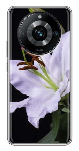 Чехол с принтом "Большая лилия" для Realme 11 Pro Plus