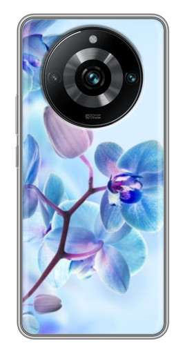 Силиконовый чехол с изображением "Голубые орхидеи" для Realme 11 Pro Plus