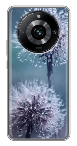 Чехол с принтом "Одуванчик с капельками" для Realme 11 Pro Plus