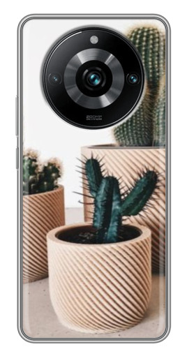 Силиконовый чехол с изображением "стильные кактусы" для Realme 11 Pro Plus