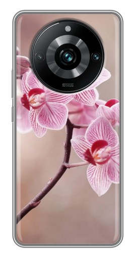 Силиконовый чехол с изображением "Веточка орхидеи" для Realme 11 Pro Plus