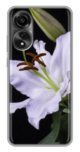 Чехол с картинкой "Большая лилия" для OPPO A78 (4G)