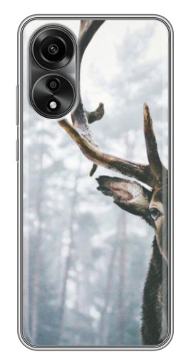 Силиконовый чехол с изображением "Большой олень" для OPPO A78 (4G)