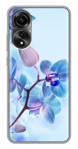 Чехол с печатью "Голубые орхидеи" для OPPO A78 (4G)