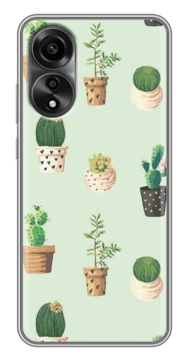 Чехол с принтом "Кактусы в горшочках " для OPPO A78 (4G)