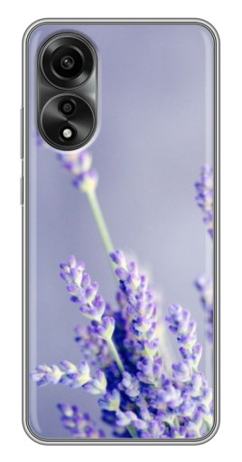 Силиконовый чехол с изображением "Лаванда вблизи" для OPPO A78 (4G)