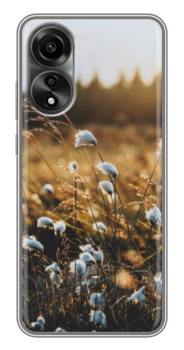 Чехол с картинкой "Нежные полевые цветы" для OPPO A78 (4G)