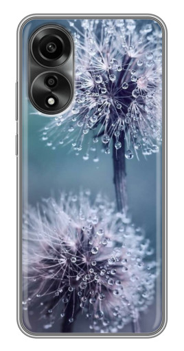 Чехол с картинкой "Одуванчик с капельками" для OPPO A78 (4G)