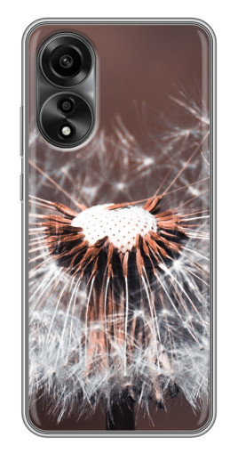 Чехол с картинкой "Одуванчик вблизи" для OPPO A78 (4G)