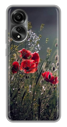 Чехол с картинкой "Поле цветов" для OPPO A78 (4G)