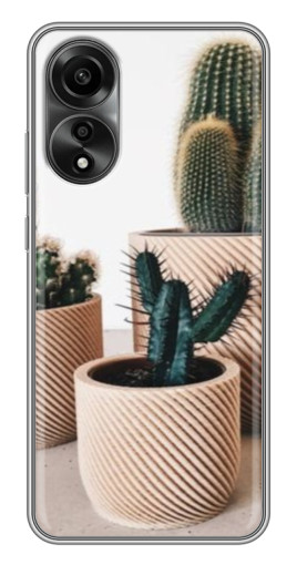 Чехол с печатью "стильные кактусы" для OPPO A78 (4G)