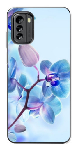 Чехол с картинкой "Голубые орхидеи" для Nokia G60