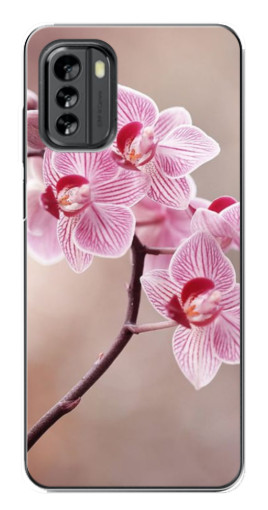 Чехол с печатью "Веточка орхидеи" для Nokia G60