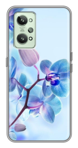 Чехол с печатью "Голубые орхидеи" для Realme GT2