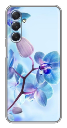 Чехол с печатью "Голубые орхидеи" для Sansung Galaxy M54 (5G)