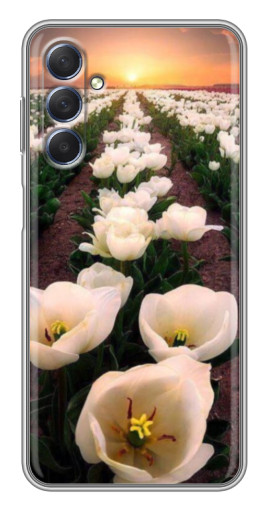 Чехол с печатью "Поле тульпанов " для Sansung Galaxy M54 (5G)