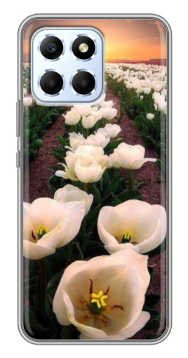 Чехол с печатью "Поле тульпанов " для Huawei Honor X6