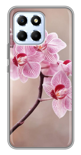 Чехол с картинкой "Веточка орхидеи" для Huawei Honor X6