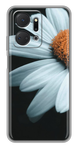 Чехол с принтом "Белая ромашка" для Huawei Honor X7a