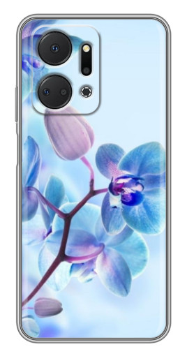 Чехол с печатью "Голубые орхидеи" для Huawei Honor X7a