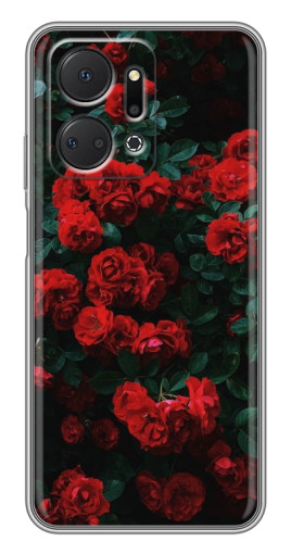 Чехол с принтом "Красные розы" для Huawei Honor X7a