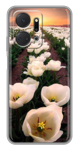 Чехол с картинкой "Поле тульпанов " для Huawei Honor X7a