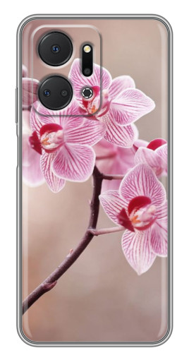 Силиконовый чехол с изображением "Веточка орхидеи" для Huawei Honor X7a
