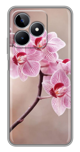 Чехол с картинкой "Веточка орхидеи" для Realme C53