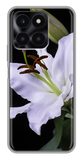 Чехол с принтом "Большая лилия" для Huawei Honor X6a