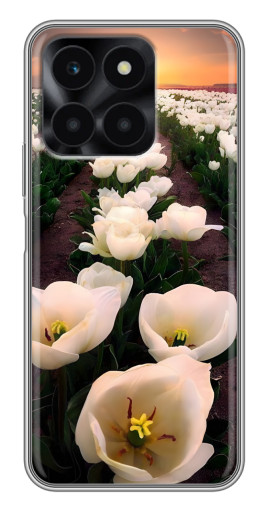 Чехол с картинкой "Поле тульпанов " для Huawei Honor X6a