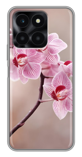 Чехол с картинкой "Веточка орхидеи" для Huawei Honor X6a