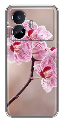Чехол с печатью "Веточка орхидеи" для Realme GT5