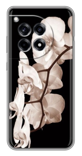 Чехол с картинкой "Черно-белая орхидея" для OnePlus 12 Pro