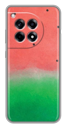 Чехол с печатью "Дизайн арбуза" для OnePlus 12 Pro