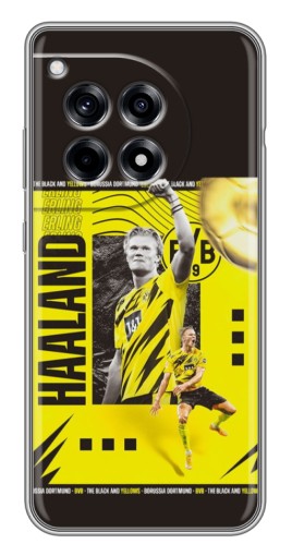 Чехол с принтом "Golden Haaland" для OnePlus 12 Pro