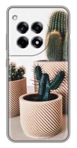 Чехол с принтом "стильные кактусы" для OnePlus 12 Pro