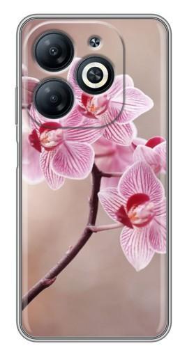 Силиконовый чехол с изображением "Веточка орхидеи" для Infinix Smart 8