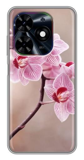 Чехол с картинкой "Веточка орхидеи" для Tecno Spark Go 2024 (BG6)