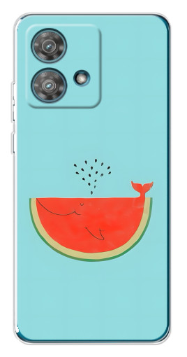 Чехол с печатью "Арбуз кит" для Motorola Edge 40 Neo