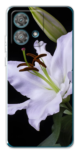 Чехол с печатью "Большая лилия" для Motorola Edge 40 Neo