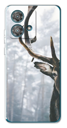 Чехол с печатью "Большой олень" для Motorola Edge 40 Neo