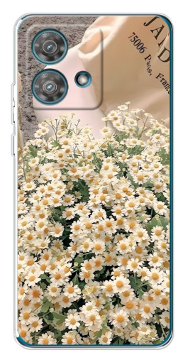 Чехол с печатью "Букет ромашек" для Motorola Edge 40 Neo