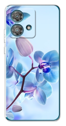 Чехол с печатью "Голубые орхидеи" для Motorola Edge 40 Neo