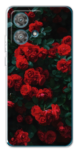 Чехол с картинкой "Красные розы" для Motorola Edge 40 Neo