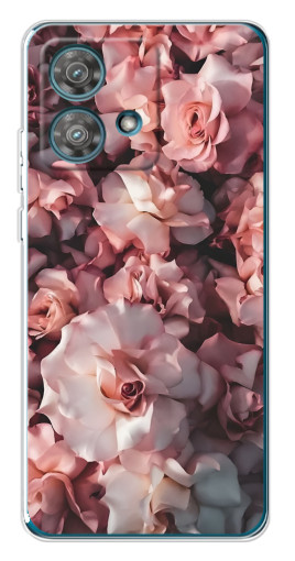 Чехол с принтом "Куст роз" для Motorola Edge 40 Neo