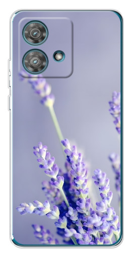 Чехол с принтом "Лаванда вблизи" для Motorola Edge 40 Neo
