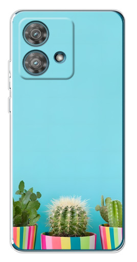 Чехол с печатью "Маленькие кактусы" для Motorola Edge 40 Neo
