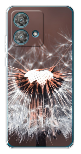 Чехол с принтом "Одуванчик вблизи" для Motorola Edge 40 Neo
