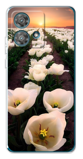 Чехол с картинкой "Поле тульпанов " для Motorola Edge 40 Neo